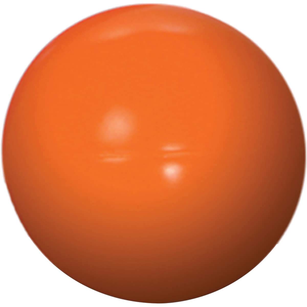 Virtually Indestructible Best Ball for Dogs, 10-inch