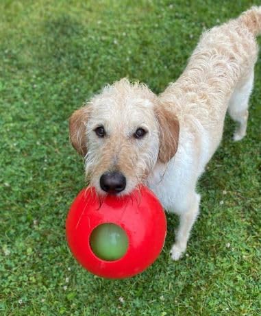 Jolly Pets Teaser Ball Dog Toy, Medium/6 Inches, Red
