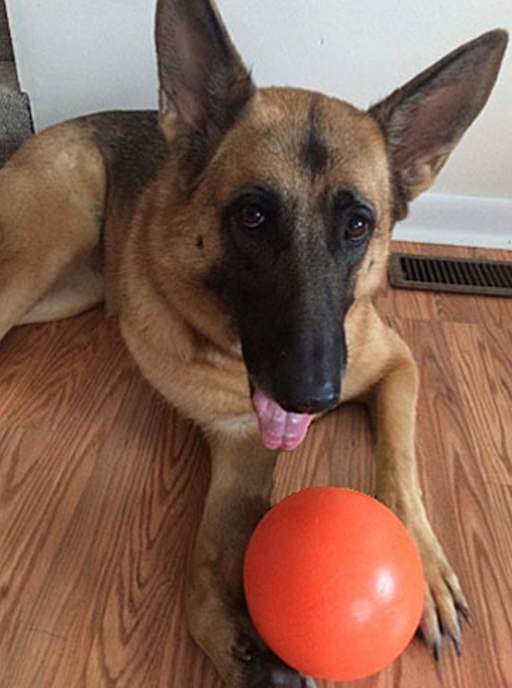 Virtually Indestructible Best Ball for Dogs, 10-inch