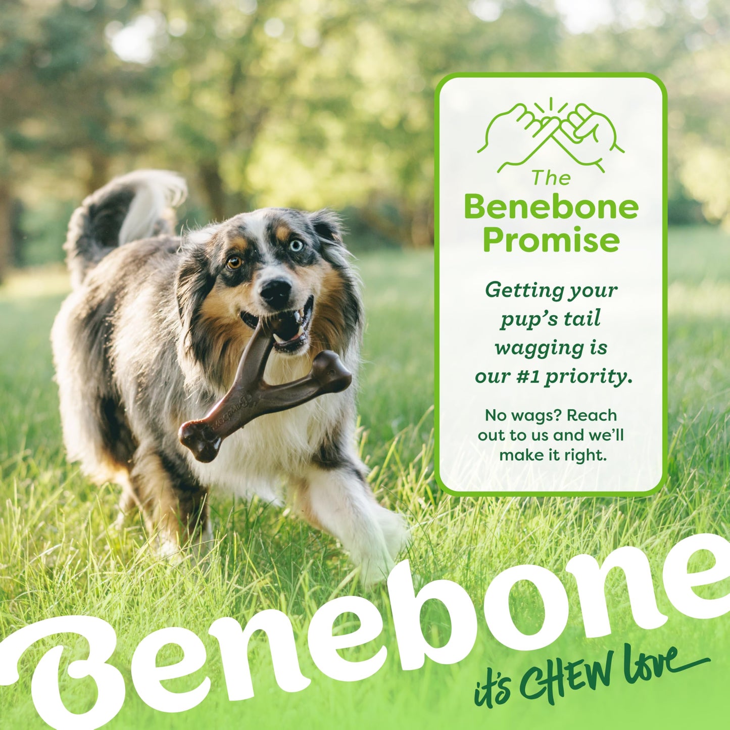 Benebone Medium 4-Pack Dog Chew Toys for Aggressive Chewers, Made in USA, 60lbs and Under