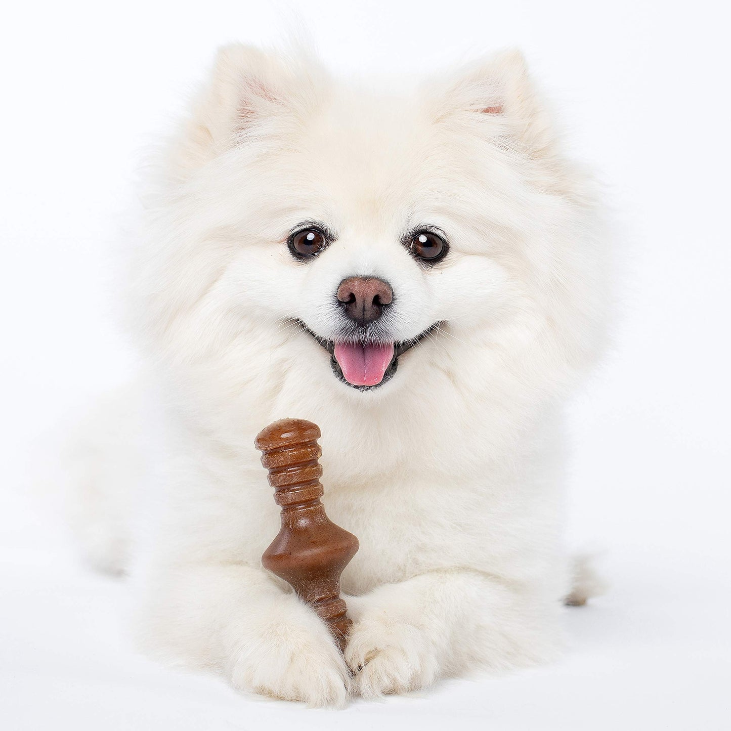 Benebone Medium 4-Pack Dog Chew Toys for Aggressive Chewers, Made in USA, 60lbs and Under