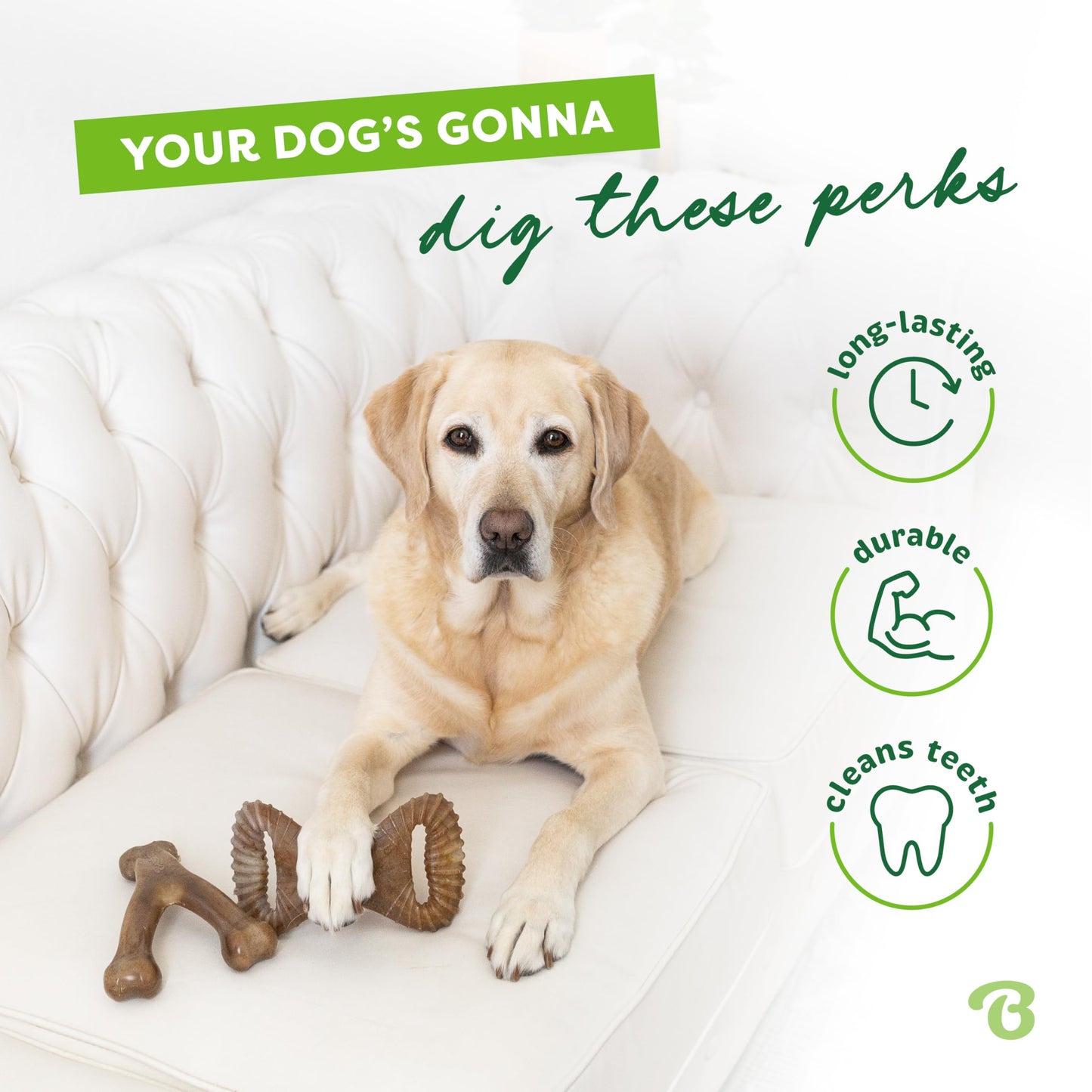 Benebone Medium 4-Pack Dog Chew Toys for Aggressive Chewers, Made in USA, 60lbs and Under