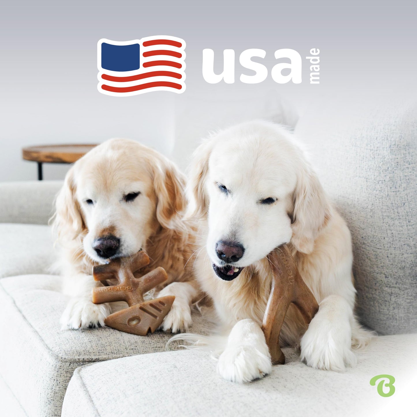 Benebone Medium 4-Pack Dog Chew Toys for Aggressive Chewers, Made in USA, 60lbs and Under