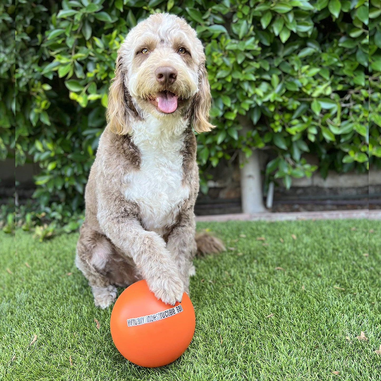 Virtually Indestructible Best Ball for Dogs, 10-inch