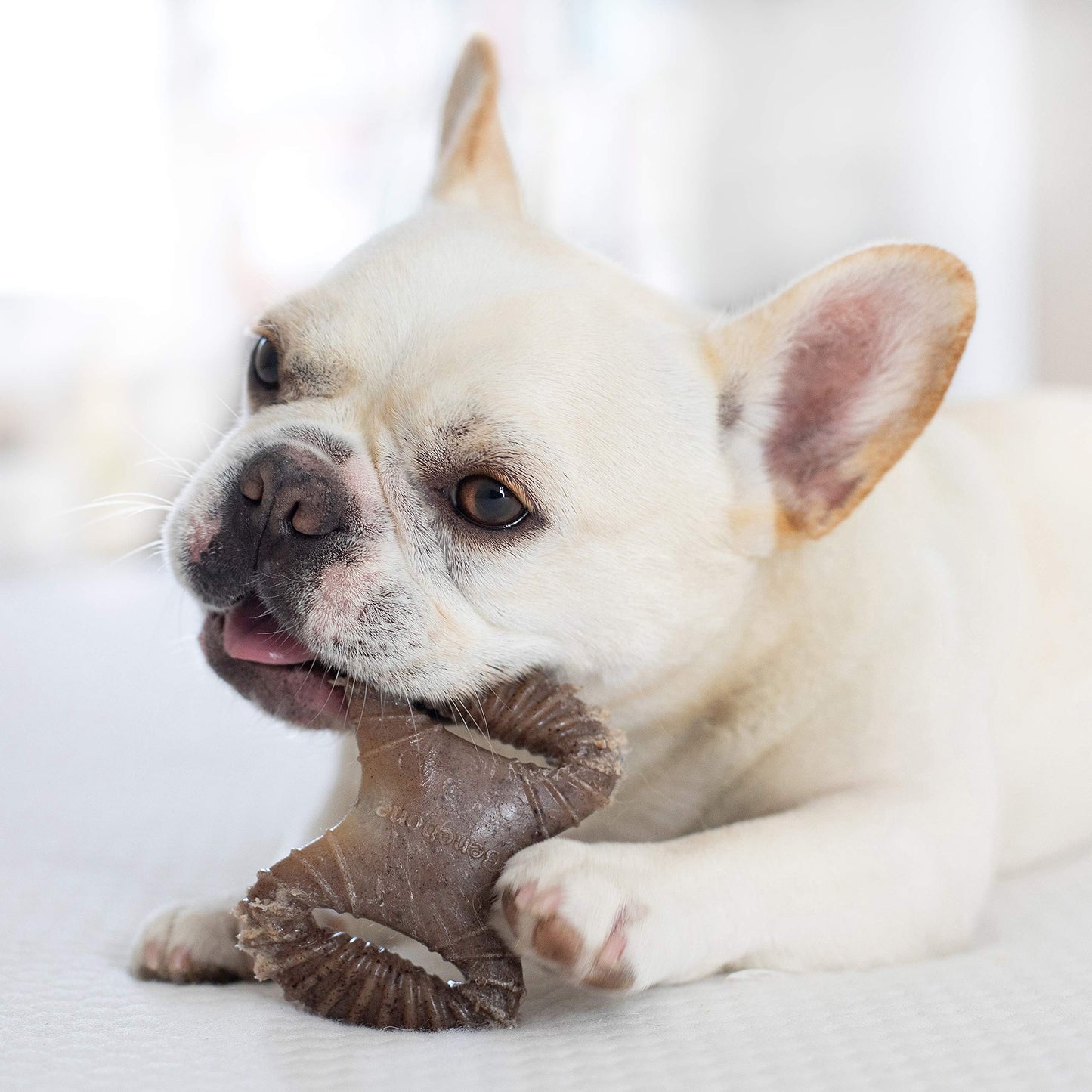 Benebone Medium 4-Pack Dog Chew Toys for Aggressive Chewers, Made in USA, 60lbs and Under