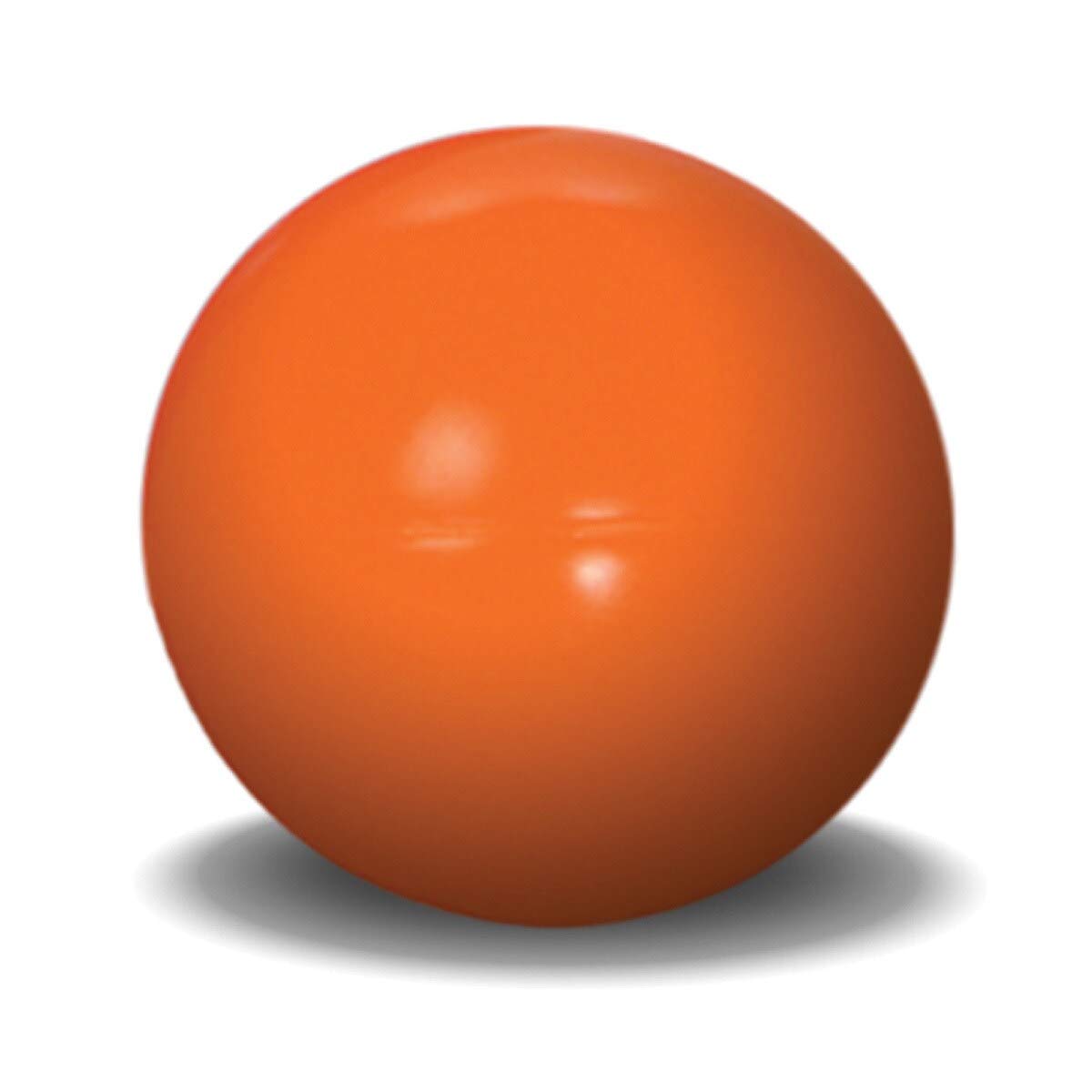 Virtually Indestructible Best Ball for Dogs, 10-inch