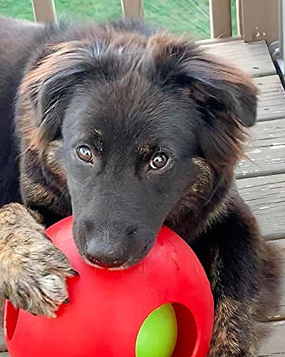 Jolly Pets Teaser Ball Dog Toy, Medium/6 Inches, Red