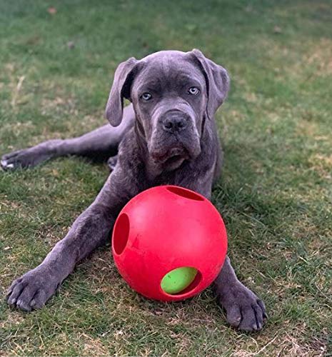 Jolly Pets Teaser Ball Dog Toy, Medium/6 Inches, Red