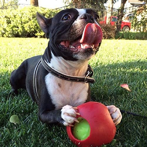 Jolly Pets Teaser Ball Dog Toy, Medium/6 Inches, Red