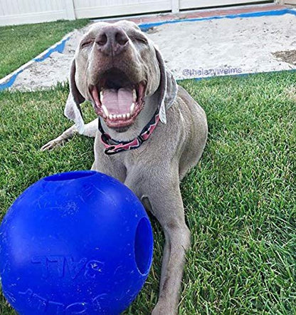 Jolly Pets Teaser Ball Dog Toy, Medium/6 Inches, Red