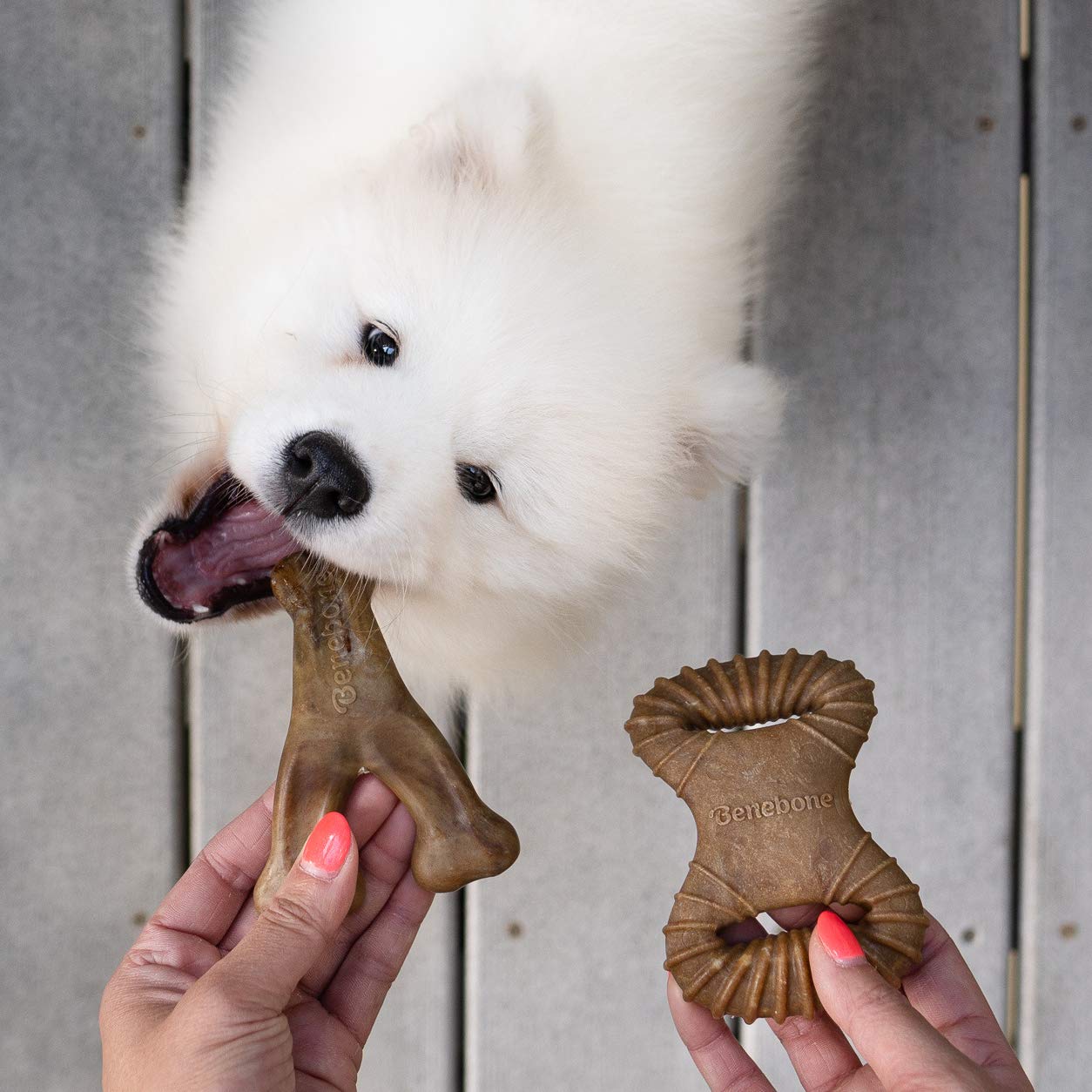 Benebone Medium 4-Pack Dog Chew Toys for Aggressive Chewers, Made in USA, 60lbs and Under