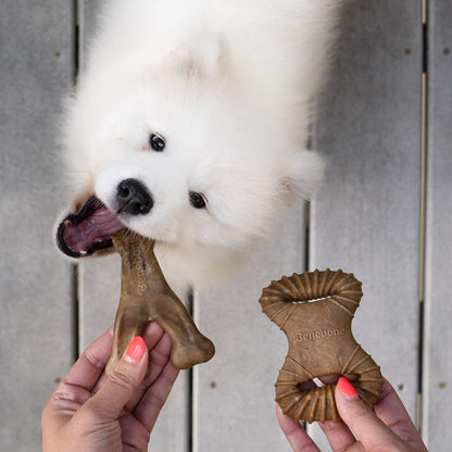 Benebone Medium 4-Pack Dog Chew Toys for Aggressive Chewers, Made in USA, 60lbs and Under