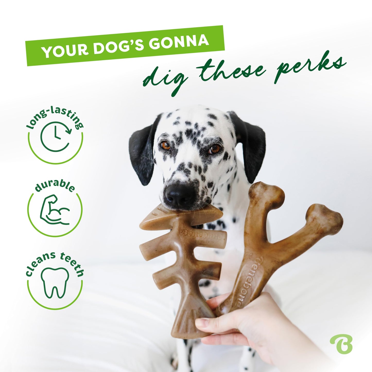 Benebone Medium 4-Pack Dog Chew Toys for Aggressive Chewers, Made in USA, 60lbs and Under