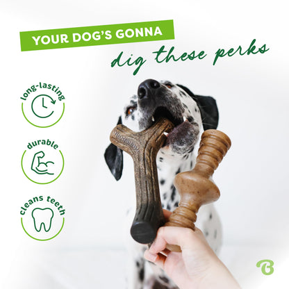 Benebone Medium 4-Pack Dog Chew Toys for Aggressive Chewers, Made in USA, 60lbs and Under