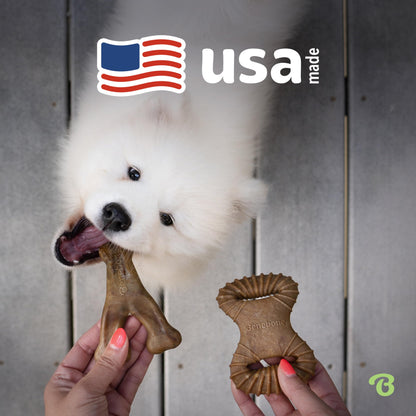Benebone Medium 4-Pack Dog Chew Toys for Aggressive Chewers, Made in USA, 60lbs and Under