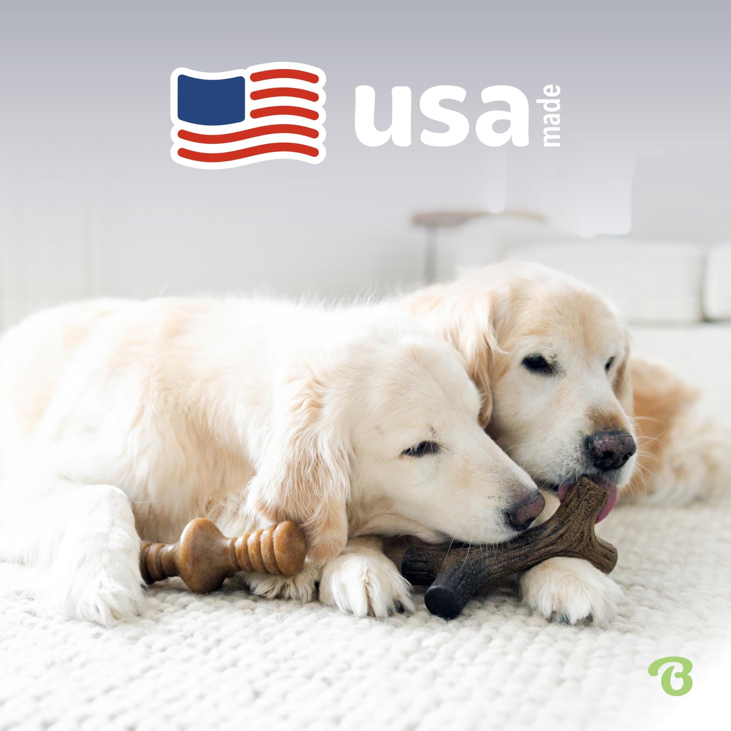 Benebone Medium 4-Pack Dog Chew Toys for Aggressive Chewers, Made in USA, 60lbs and Under