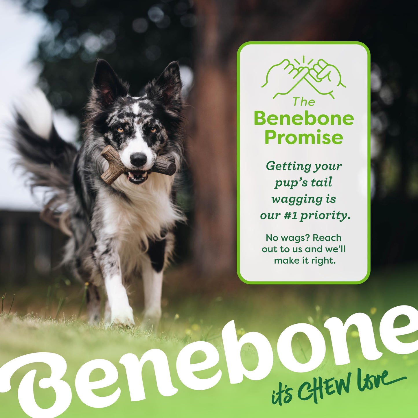 Benebone Medium 4-Pack Dog Chew Toys for Aggressive Chewers, Made in USA, 60lbs and Under