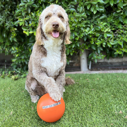 Virtually Indestructible Best Ball for Dogs, 10-inch
