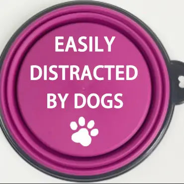 Travel Pet Dish for Dogs and Cats - Collapsible and Available in Multiple Phrases