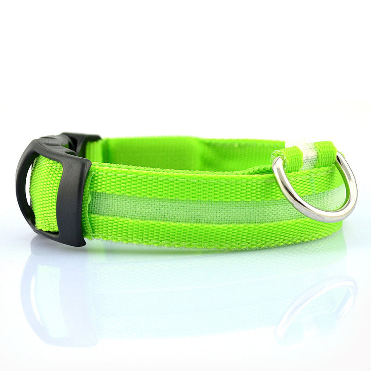 LED Light Up Pet Collar