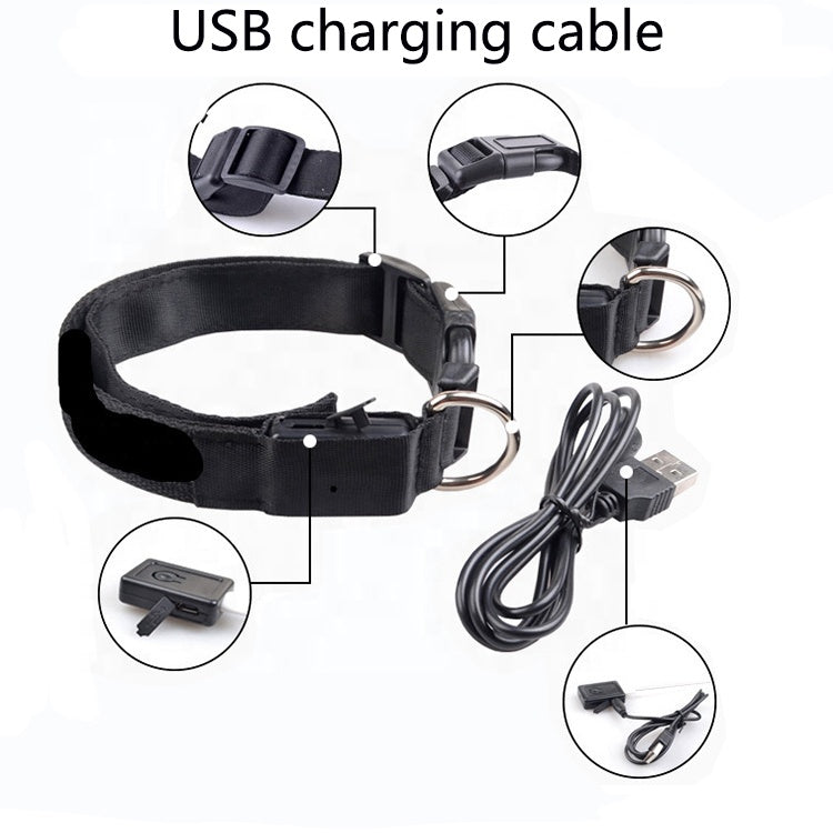 LED Light Up Pet Collar