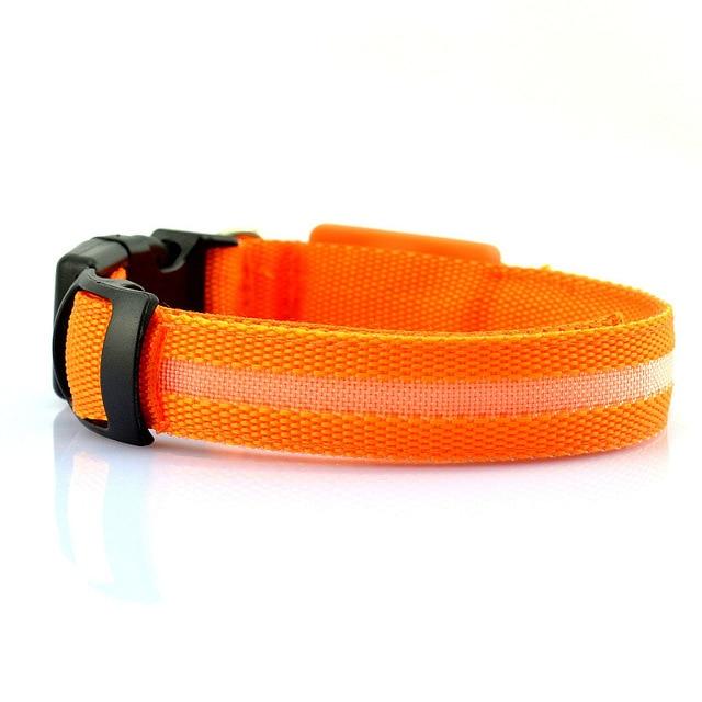 LED Light Up Pet Collar