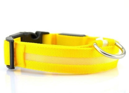 LED Light Up Pet Collar